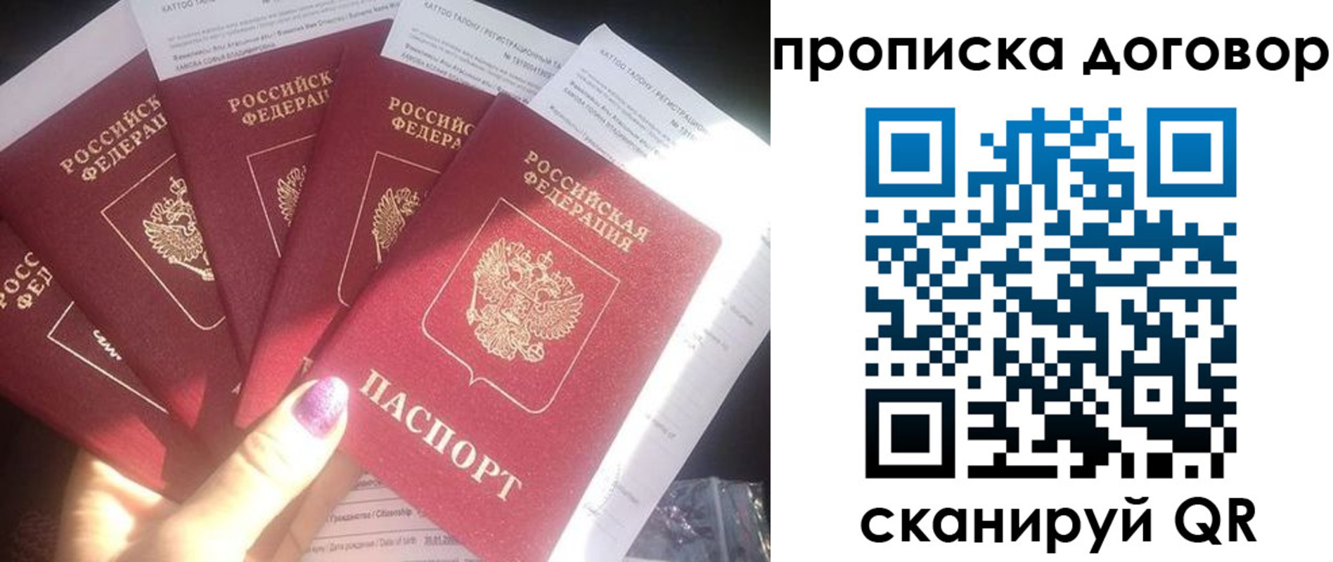 где прописаться в Светлограде